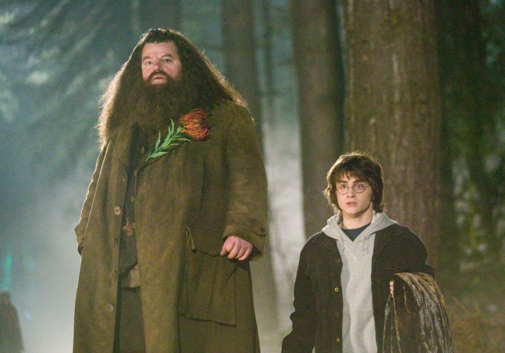 Ο Κρις Κολόμπους αμφισβητεί το reboot του Harry Potter: «Ποιο είναι το νόημα;»