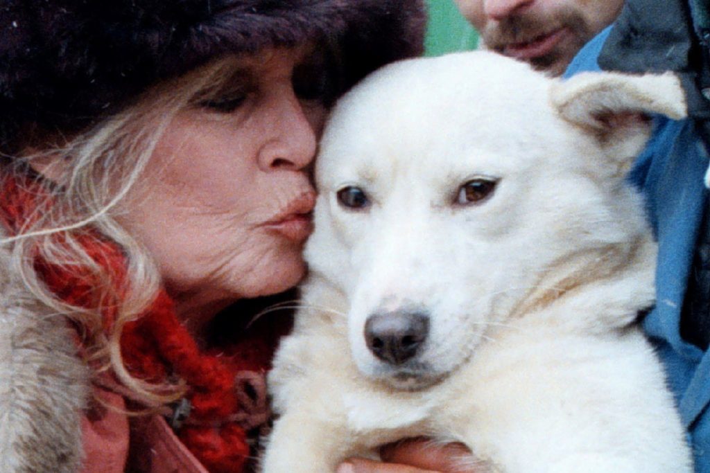 Η διαμάχη για την περιουσία της Μπριζίτ Μπαρντό – Ο γιος της διεκδικεί 65 εκατ. ευρώ από την Animal Foundation