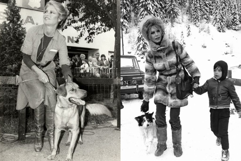 «Προτιμούσα να έχω γεννήσει ένα σκυλάκι» – Ο αποξενωμένος γιος της Μπριζίτ Μπαρντό, Νικολά-Ζακ Σαριέ