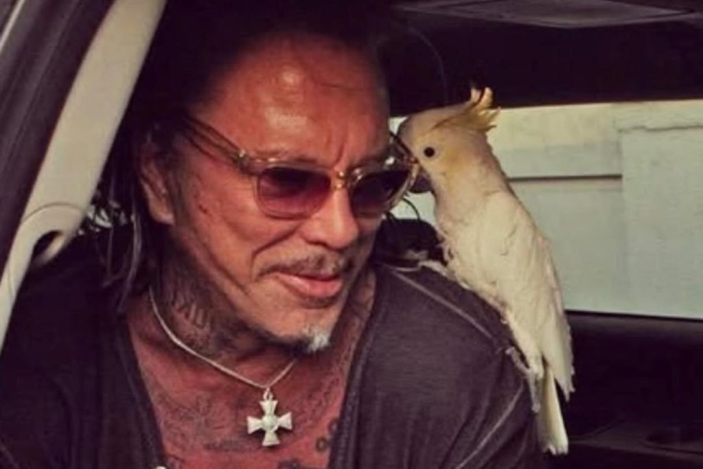 Ο Μίκι Ρουρκ ζει σε ξενοδοχείο μετά την έξωση – Υπάρχουν όμως 60.000 δολάρια απλήρωτα ενοίκια